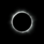 Troop The Void