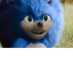 Sonic Tycoon!!