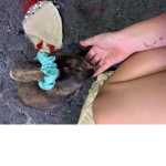 Haylees friends.