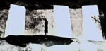 Yellowstone rp's with DANA ;creat Ducky