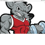 Strong rat