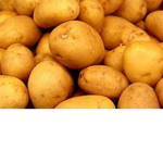 Potato FAMMMMMMMM