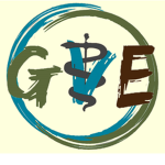 G.V.E