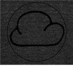 The Cloud Organization