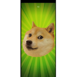 Government of the doge