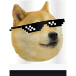 Doge group officially