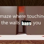 maze where touching walls bans you forever