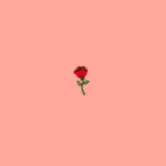 GHO_STY