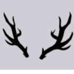 The void antlers