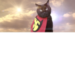 Hero N2 Cat Club