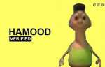 HAMOOD HABIBI H4MOOD