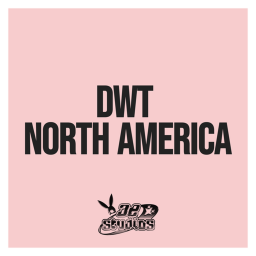 ae | Dangerous Woman Tour (BETA)