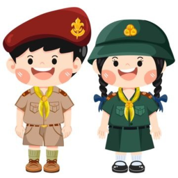 Scout
