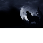 {Wolf Hangout}