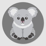 Koala Moana team