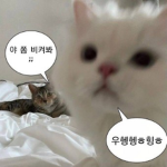 새벽 카페 Korea