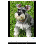 Alfie Ella group