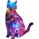 Cat's Nation