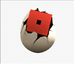 EGG’S ROLE