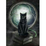 XxBlackCatxX
