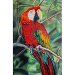 Parrot Gang!!!
