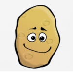 The potatoess group