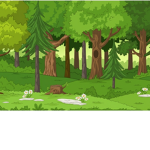Mack's Forest