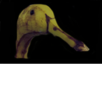 Banana Club!!!!!