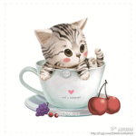 * Kitten club *