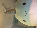 The Cowboy Narwhal Fan Group