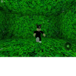 Tower of hell pro group