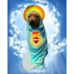 Dogism!