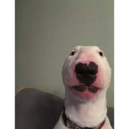 Walter the Dog Memorial