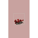 Midday Vibes Fan Group
