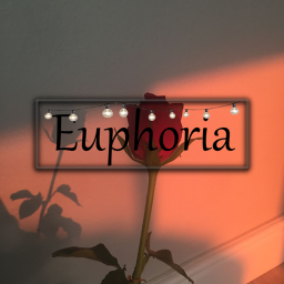 euphoria homestore V1