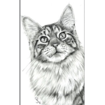 The Rebellion Of Cats