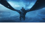 the dragon sqaud :)
