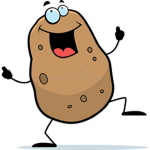 The potato spuds