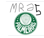 TIME DO PALMEIRAS!