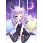 The dark bunny group