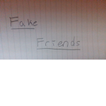 Fake Friends ( No traitors alowed )