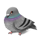 !Pigeon Squad!