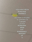 The asthetic bananas
