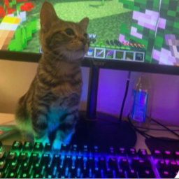 miao