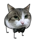 him