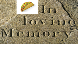 Its rainging taco's funeral