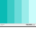 Teal's Fashion
