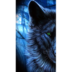 Lonley wolf’s