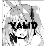 ‘‘valid