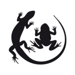 Reptiles N Amphibians